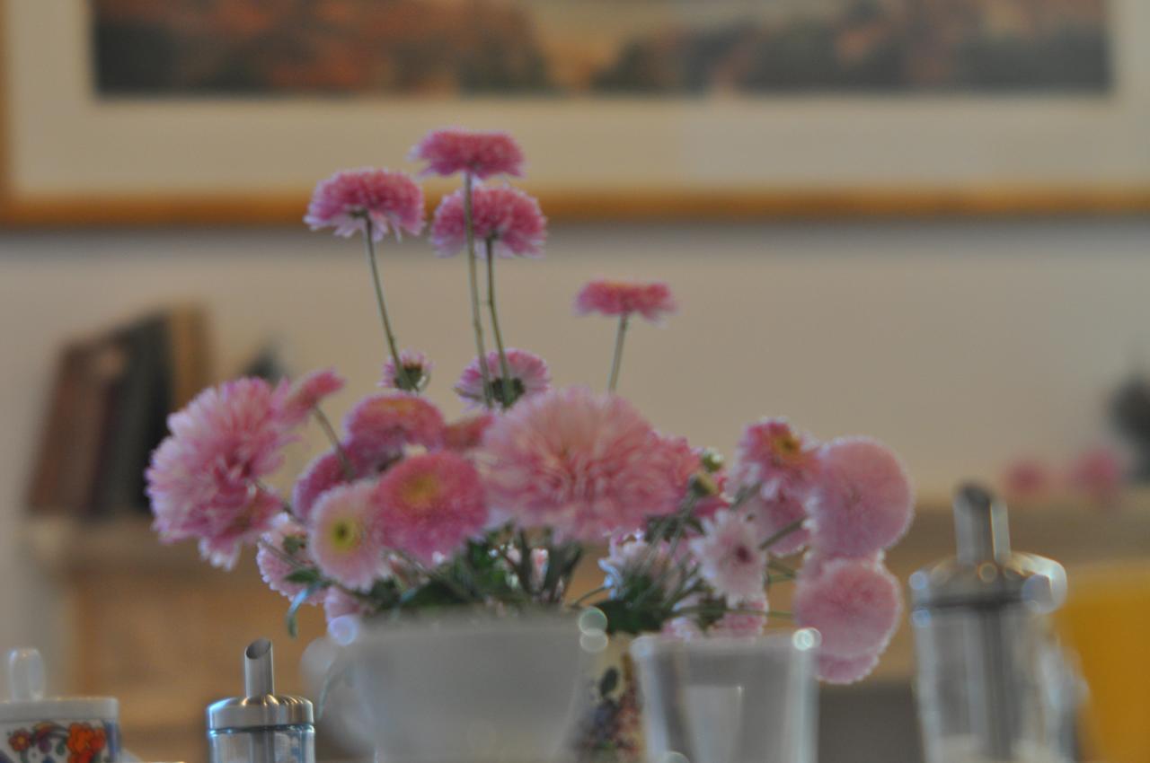 Piazza Erbe Suites Verona Bagian luar foto